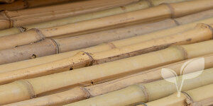 Onveilig vegetarisch marmeren Bamboematten | Natuurlijke schutting van bamboe